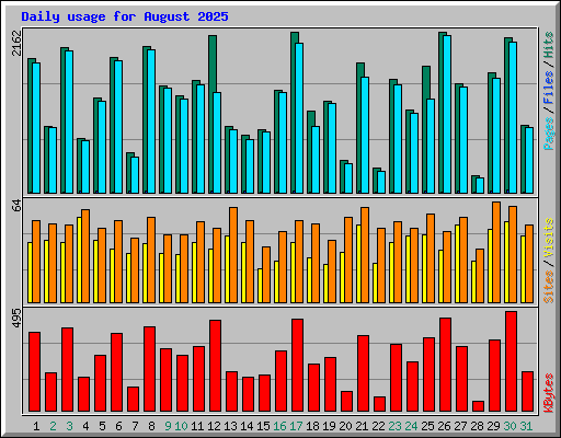 Daily usage for August 2025