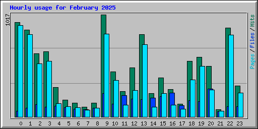 Hourly usage for February 2025