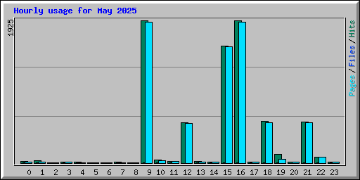 Hourly usage for May 2025
