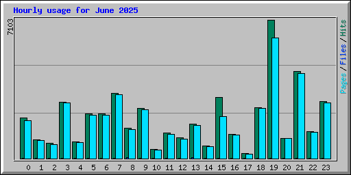 Hourly usage for June 2025