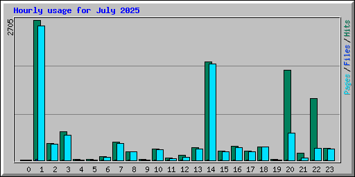 Hourly usage for July 2025