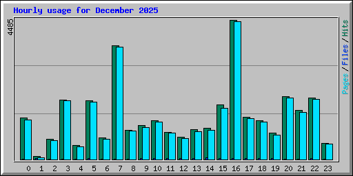 Hourly usage for December 2025